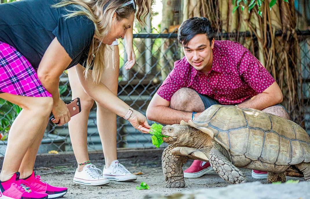 Visitors feeding a tortoise at Sawgrass Recreation Park Wildlife Show.