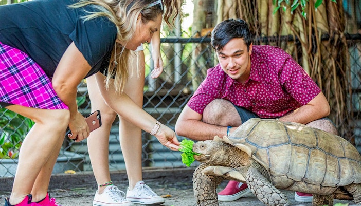 Visitors feeding a tortoise at Sawgrass Recreation Park Wildlife Show.