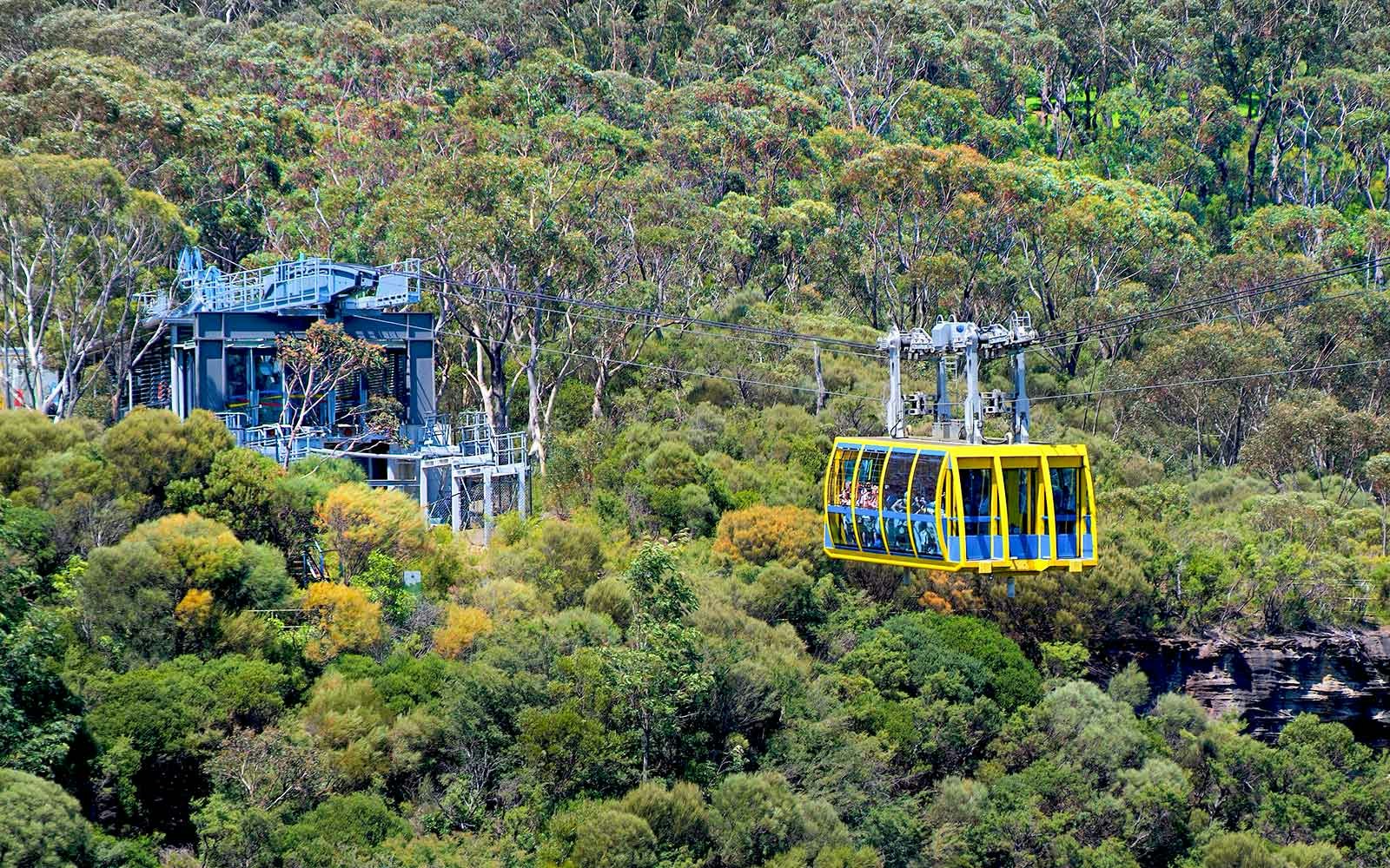 Scenic Cableway over rainforest canopy