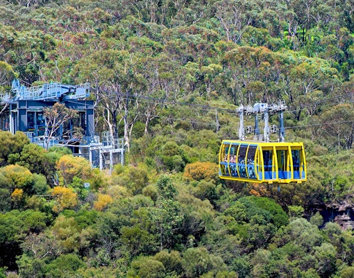 Experience Scenic World