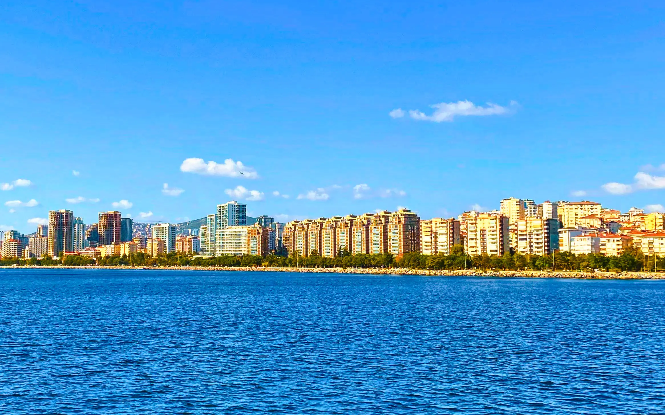 Harbour view of Princes Islands, Istanbul with city skyline in the background.