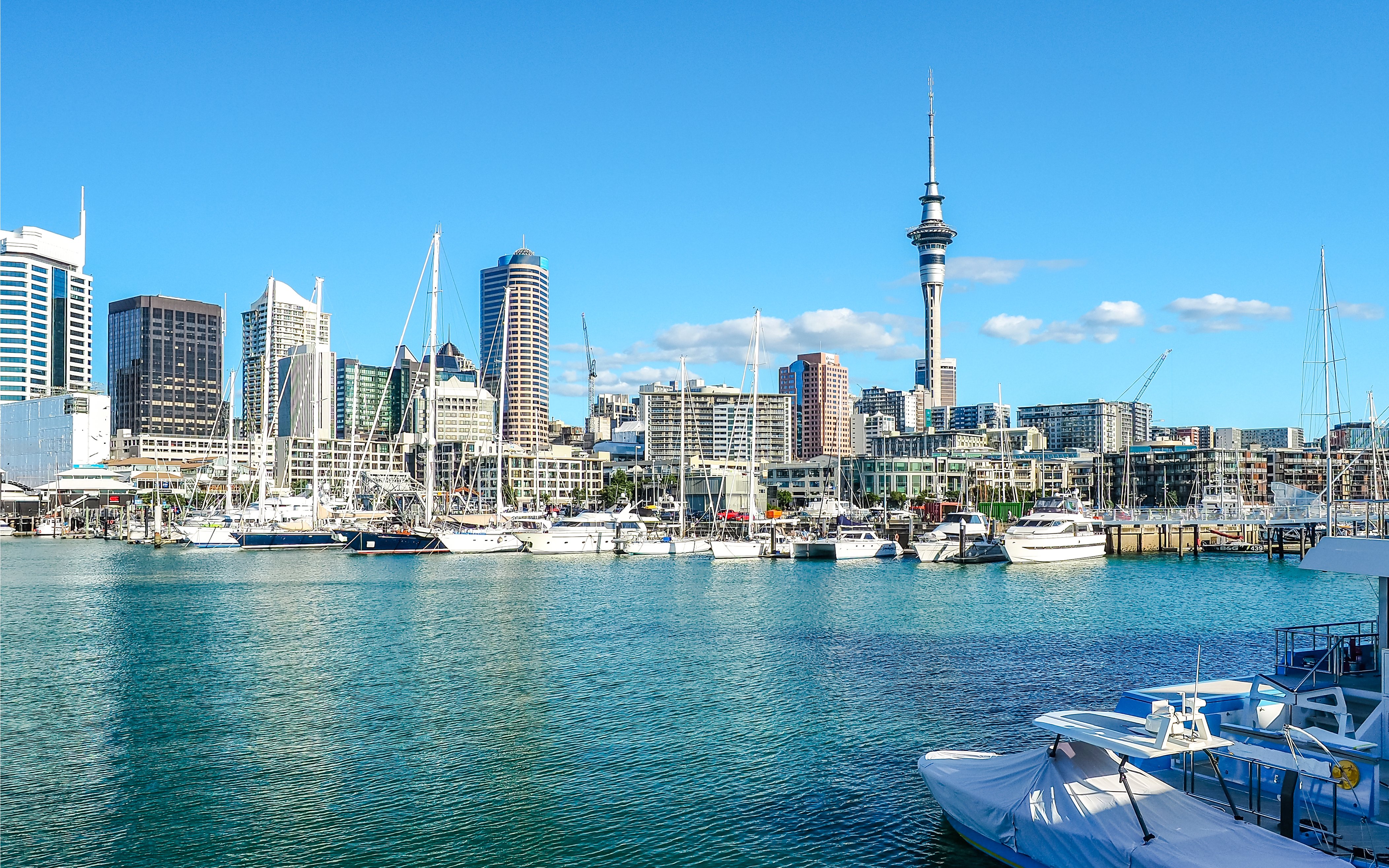 Auckland Harbor with yachts and Sky Tower in the background, New Zealand.