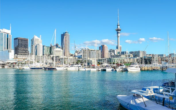 Auckland Harbor with yachts and Sky Tower in the background, New Zealand.