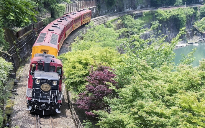 Sagano Romantic Train passing through lush greenery in Kyoto, Japan.