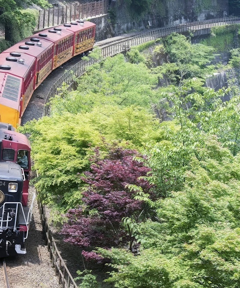 Sagano Romantic Train passing through lush greenery in Kyoto, Japan.