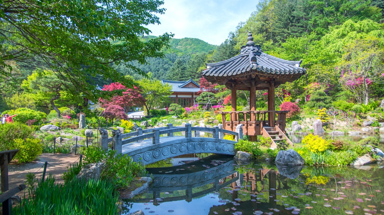 Visit to Nami Island