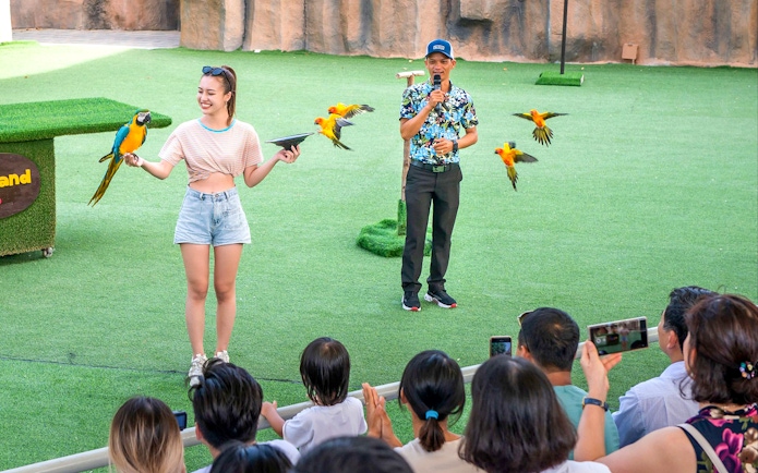 Bird show with parrots performing for an audience at a zoo.