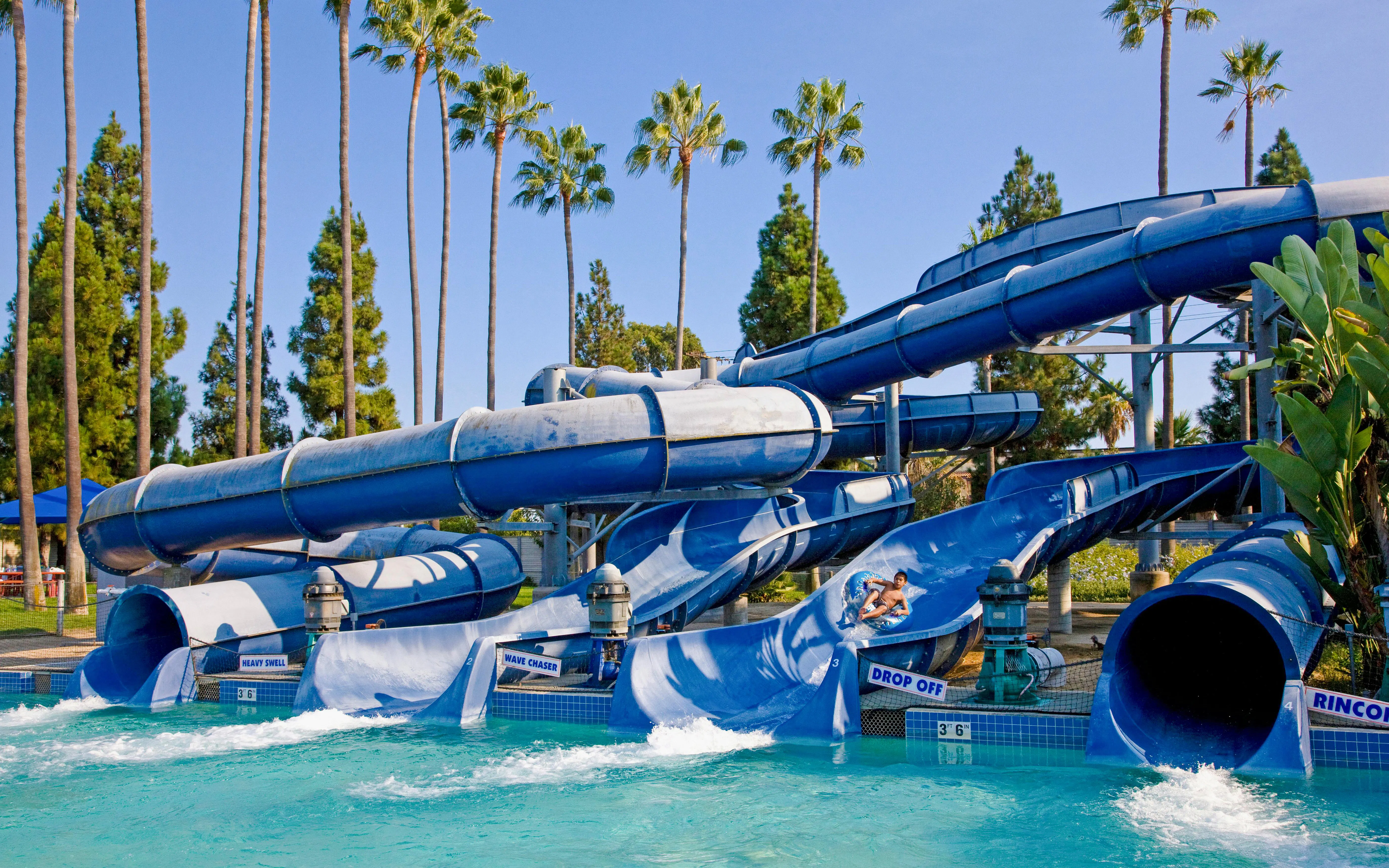 Water slides at Knott's Soak City with a person riding a tube under palm trees.
