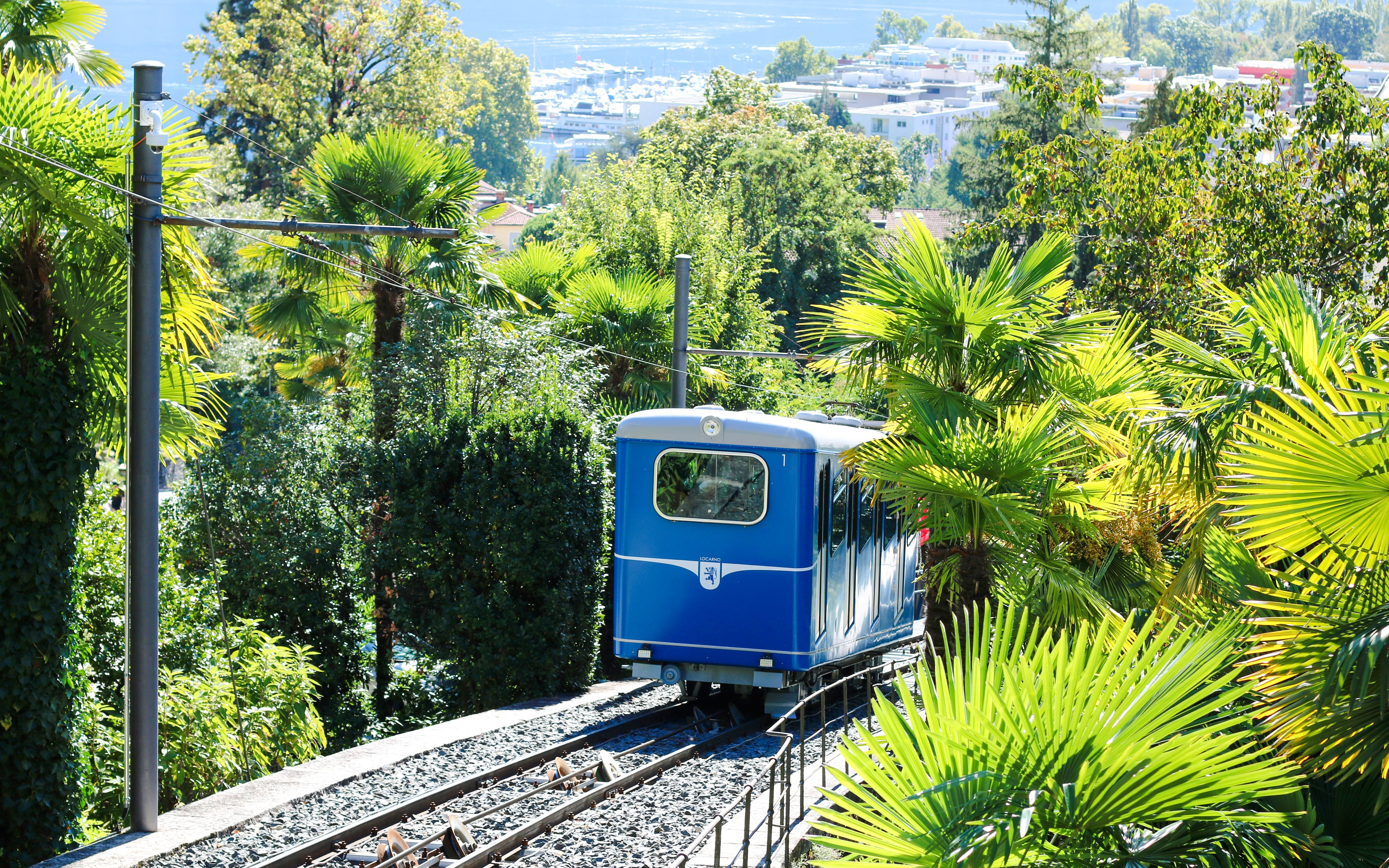 Montmartre Little Train traveling through lush greenery in Paris.