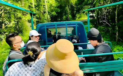 Tourists on a jungle vehicle ride through Nam Cat Tien National Park, Vietnam.