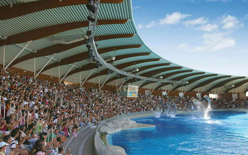 Dolphin show at Oltremare theme park with a large audience in Riccione, Italy.