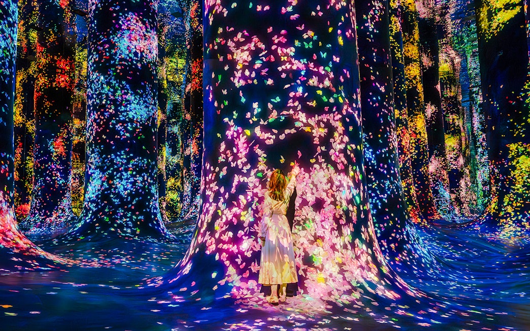 Interactive digital art installation with colorful lights at Team Lab Abu Dhabi.