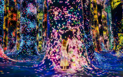 Interactive digital art installation with colorful lights at Team Lab Abu Dhabi.