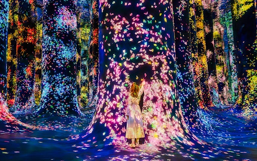 Interactive digital art installation with colorful lights at Team Lab Abu Dhabi.