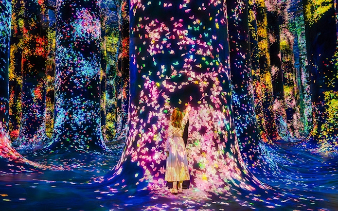 Interactive digital art installation with colorful lights at Team Lab Abu Dhabi.