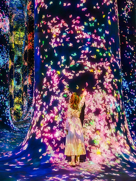 Interactive digital art installation with colorful lights at Team Lab Abu Dhabi.