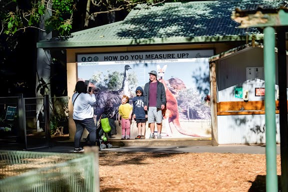 tickets to featherdale wildlife park-13