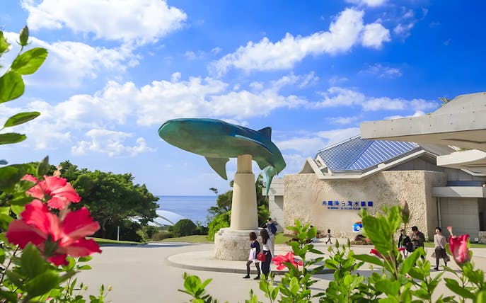 Entrance to Okinawa Churaumi Aquarium with whale shark statue and visitors.