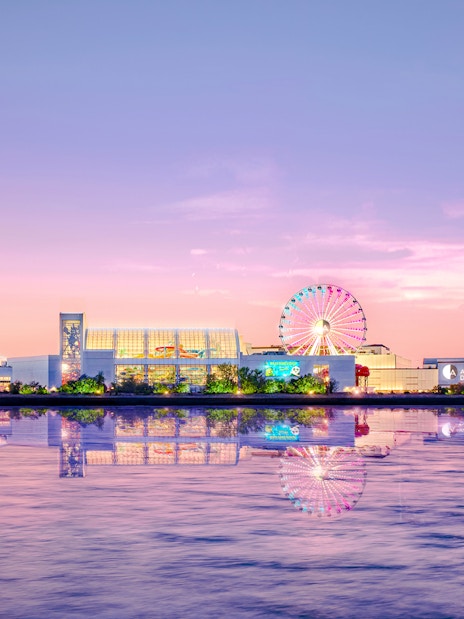 New York City sunset view with Ferris wheel and waterfront reflections.