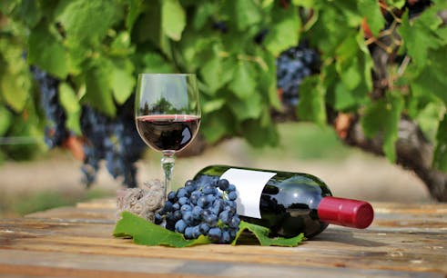 visite de sienne, san gimignano et monteriggioni avec dégustation de vins dans le chianti-1