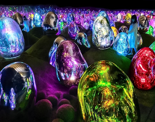 Moss Garden of Resonating Microcosms - Solidified Light Color, Sunrise and Sunset