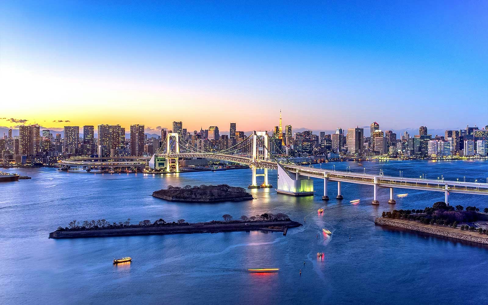 Tokyo Bay with Rainbow Bridge and city skyline at dusk.