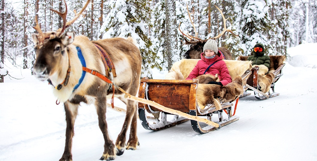 Reindeer Sledding Tours Tromso