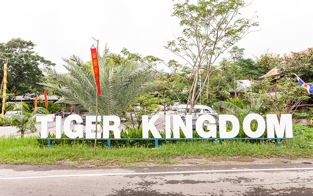Tiger Kingdom entrance sign surrounded by greenery and flags.