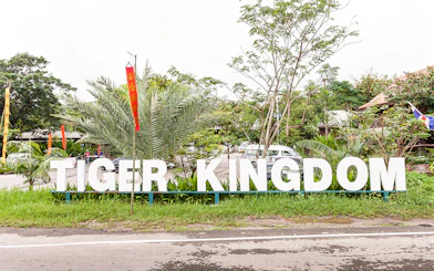 Tiger Kingdom entrance sign surrounded by greenery and flags.