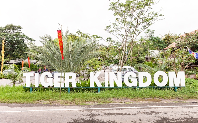 Tiger Kingdom entrance sign surrounded by greenery and flags.
