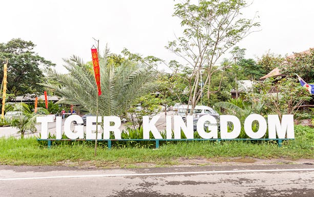 Tiger Kingdom entrance sign surrounded by greenery and flags.