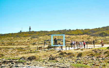 Robben Island & Table Mountain Full-Day Tour with Cable Car and Transfers
