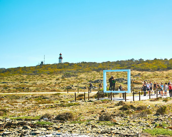 Robben Island & Table Mountain Full-Day Tour with Cable Car and Transfers