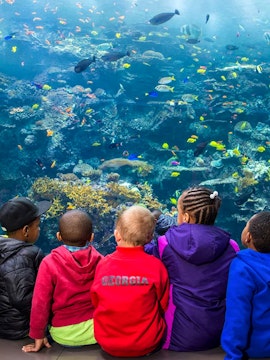 Children observing colorful fish at Georgia Aquarium, Atlanta.