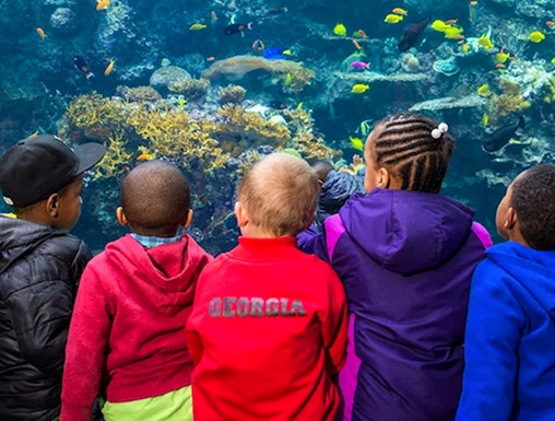 Children observing colorful fish at Georgia Aquarium, Atlanta.