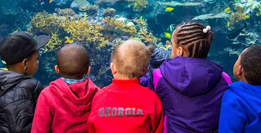Georgia Aquarium Tickets