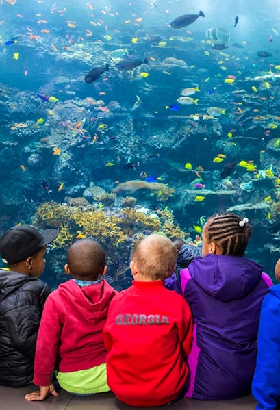 Children observing colorful fish at Georgia Aquarium, Atlanta.