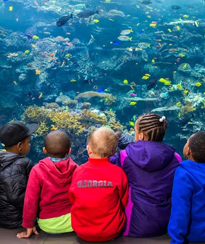 Book Discount Tickets to Attractions Activities in Atlanta Headout