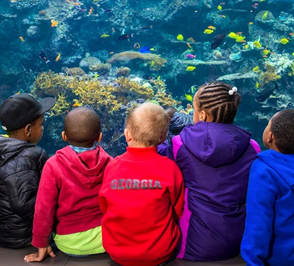 Children observing colorful fish at Georgia Aquarium, Atlanta.