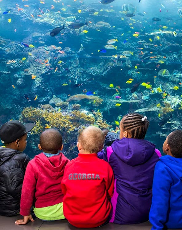 Children observing colorful fish at Georgia Aquarium, Atlanta.