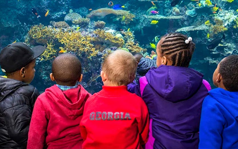 Children observing colorful fish at Georgia Aquarium, Atlanta.