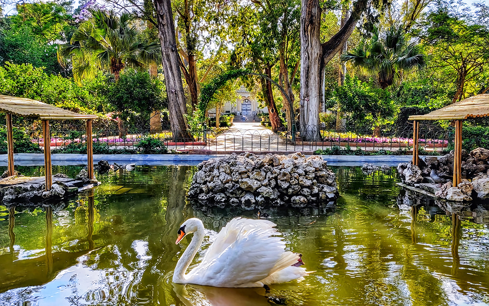 Swan swimming in a pond at San Anton Botanical Gardens, surrounded by lush greenery and stone structures.