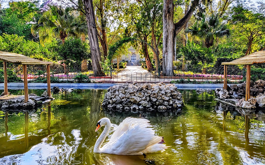 Swan swimming in a pond at San Anton Botanical Gardens, surrounded by lush greenery and stone structures.