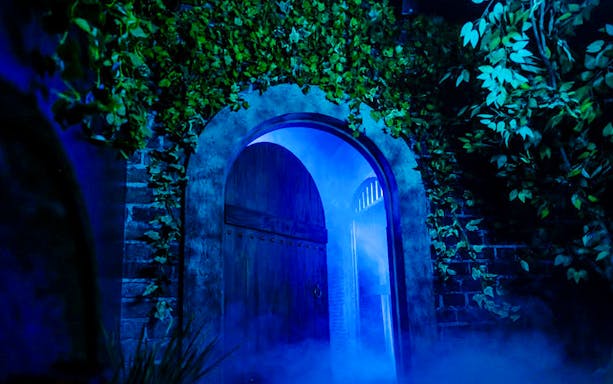 Mysterious arched doorway with ivy in The Conjuring Universe Tour, Thailand.