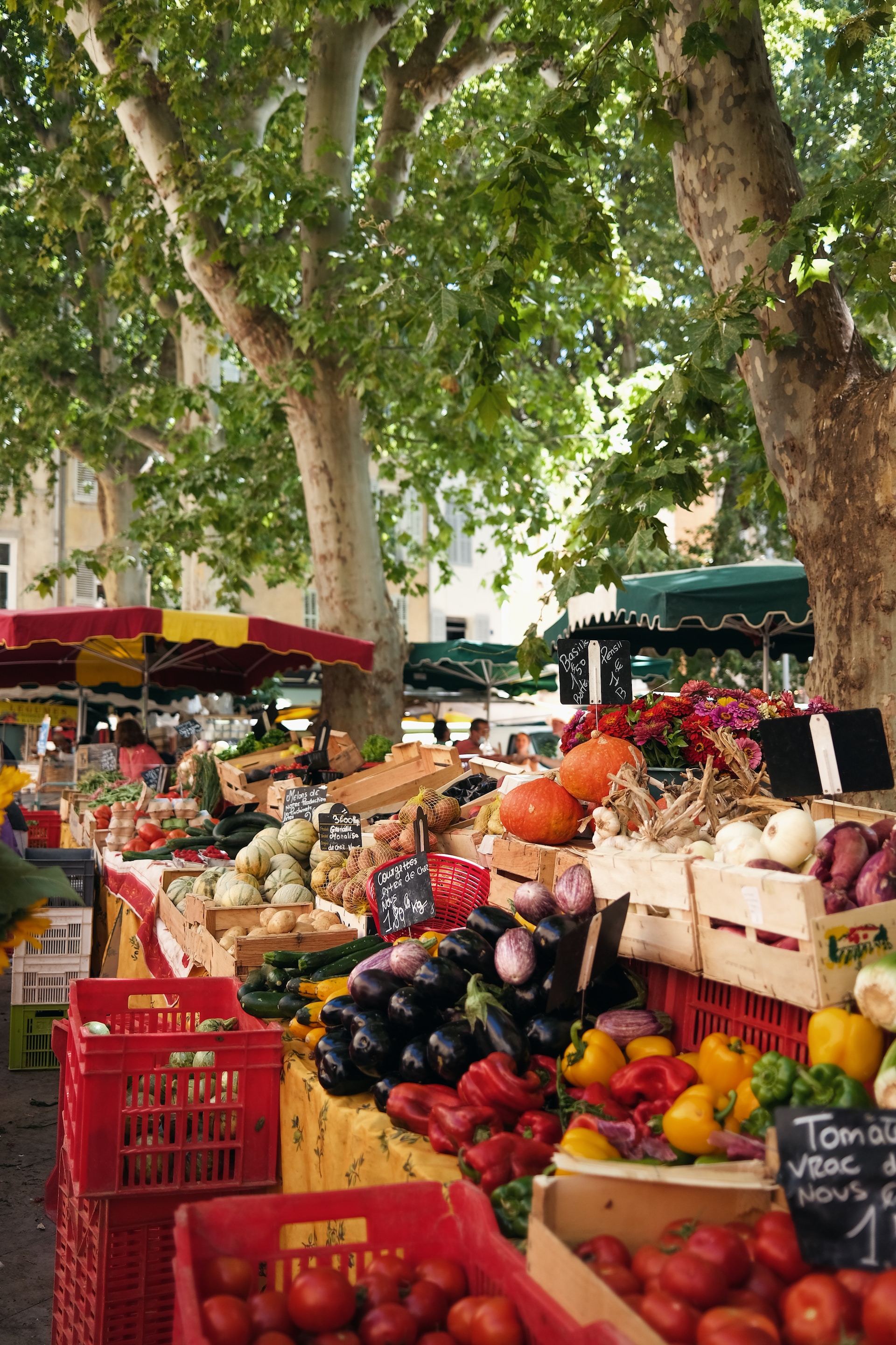 Provence market with fresh vegetables and fruits under trees.