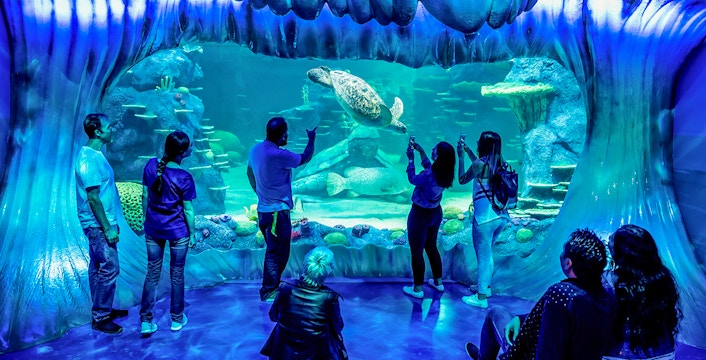 Bilete pentru acvariul SEA LIFE Sydney