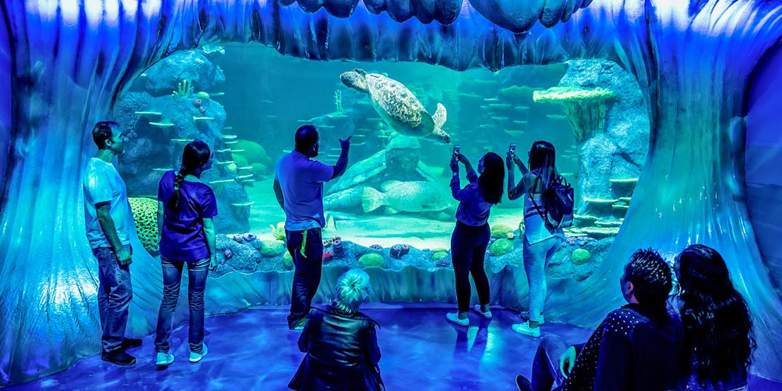 SEA LIFE Sydney Aquarium Tickets