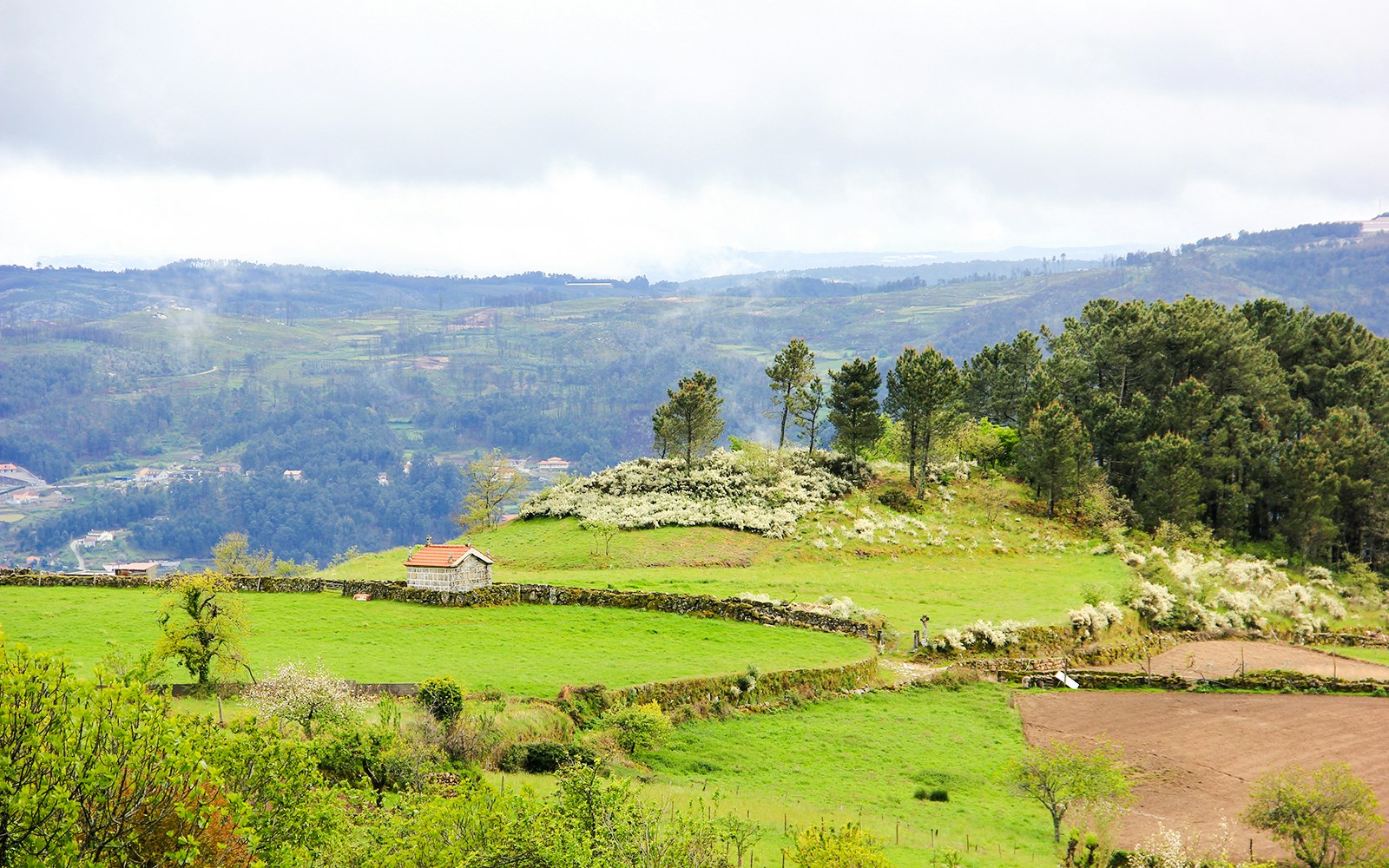 Lush green hills and a small house in Lamego, Portugal, with distant forested mountains.