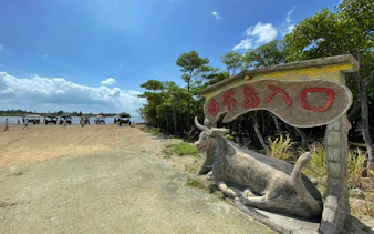 Water buffalo carts on Yubu Island beach, Okinawa, with a stone ox statue and sign in foreground.