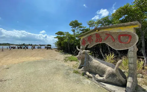 Water buffalo carts on Yubu Island beach, Okinawa, with a stone ox statue and sign in foreground.